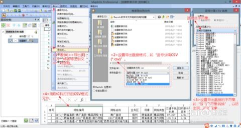 MapInfo軟件數據表更新維護與系統開發維護策略探析